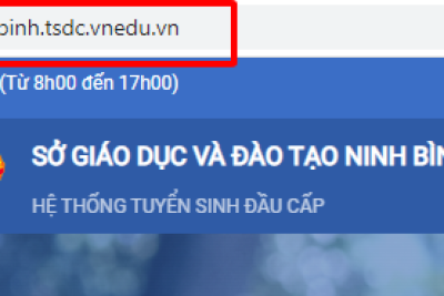 HƯỚNG DẪN HỌC SINH/ PHỤ HUYNH HỌC SINH NỘP HỒ SƠ DỰ TUYỂN VÀO LỚP 10 THPT NĂM 2023-2024